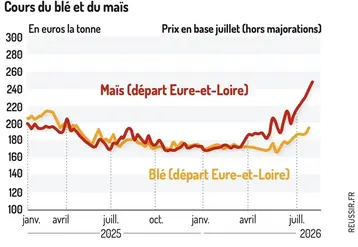<em class="placeholder">Cours du blé et du maïs en euros par tonne</em>