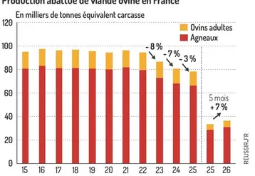 <em class="placeholder">Production abattue de viande ovine en France en milliers de tonnes équivalent carcasse</em>