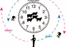 Le troupeau doit être vu comme une horloge, avec le chien positionné sur le 12 et l'éleveur sur le 6.
