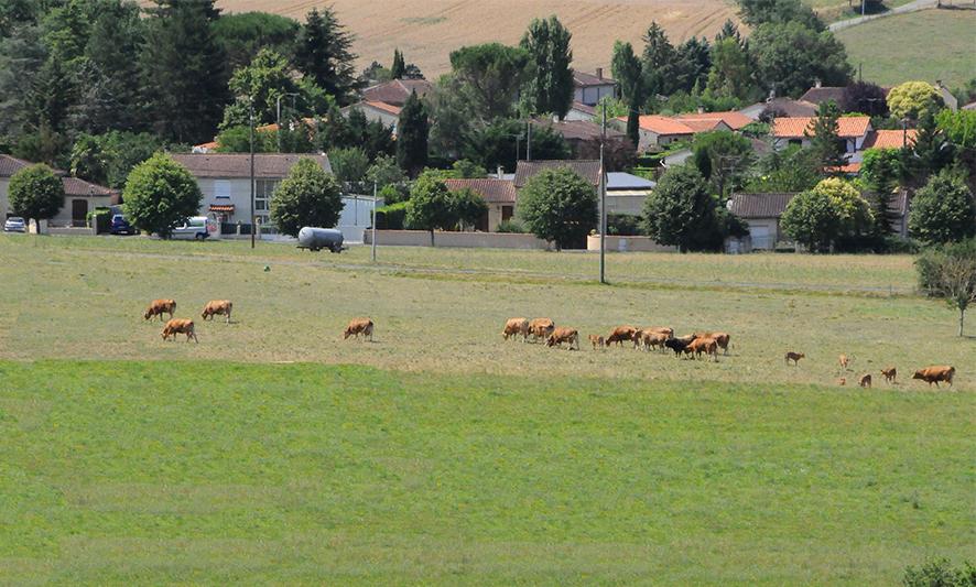 Le nouvel indice des fermages est en application Paysan Tarnais