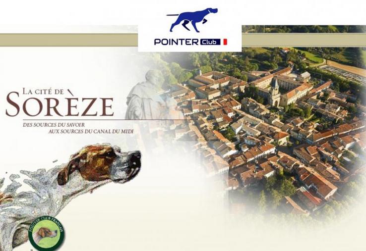 Samedi 13 juin, le Pointer club français organise son exposition nationale d'élevage à l'Abbaye-école de Sorèze