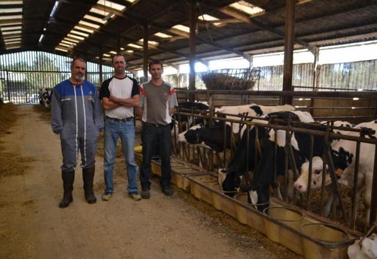 Patrick Fraysse de la Coopelso accompagne Patrice et Nicolas Bousquet dans la mise en place du génotypage des femelles de l'élevage.
