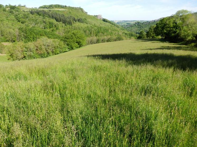 La parcelle du Gaec de la Clotte.