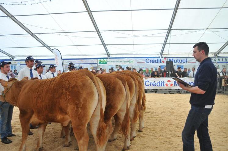 Le concours régional Limousin 2015.