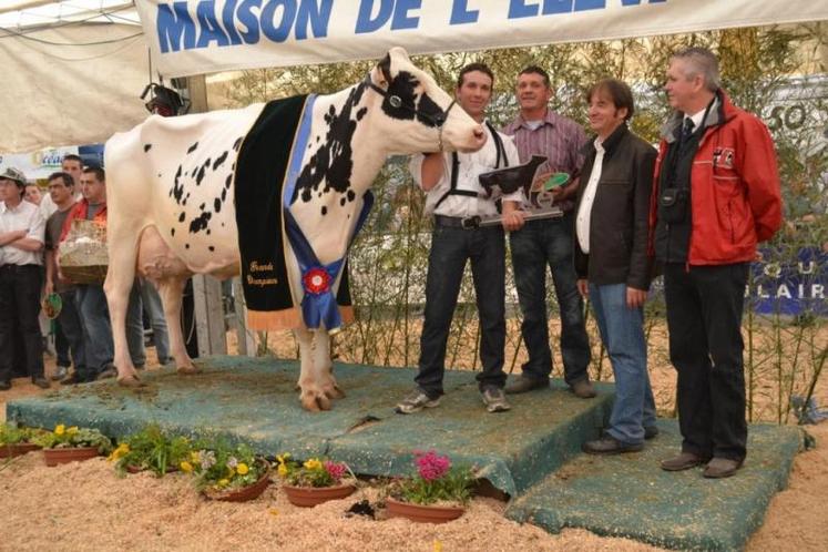 6791, grande championne du concours prim'holstein