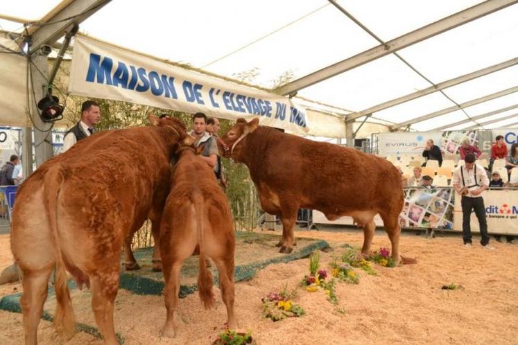 les limousines sur le podium