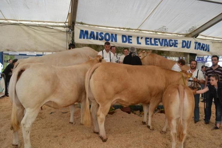 embouteillage blond sur le podium