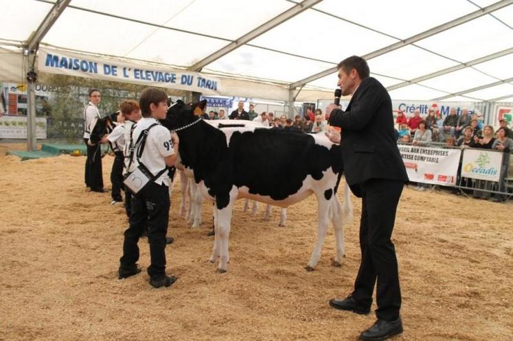 1ère section du concours prim'holstein