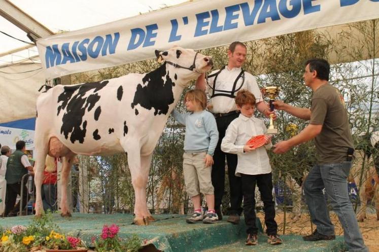 une championne du concours prim'holstein