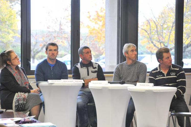 Myriam Driessen et les différents producteurs invités à témoigner lors de la table ronde.