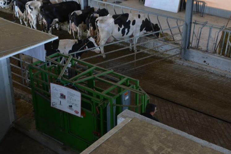 L’accès à la cage de contention et aux boxes d’isolement est programmable depuis le robot.