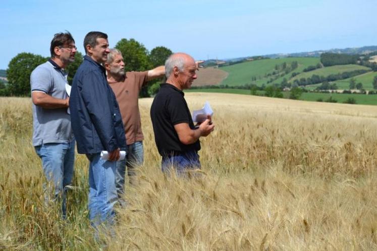 Rapide tour des parcelles afin d'affiner la logistique