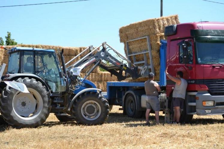 Le canton d'Alban charge les plateaux-remorques