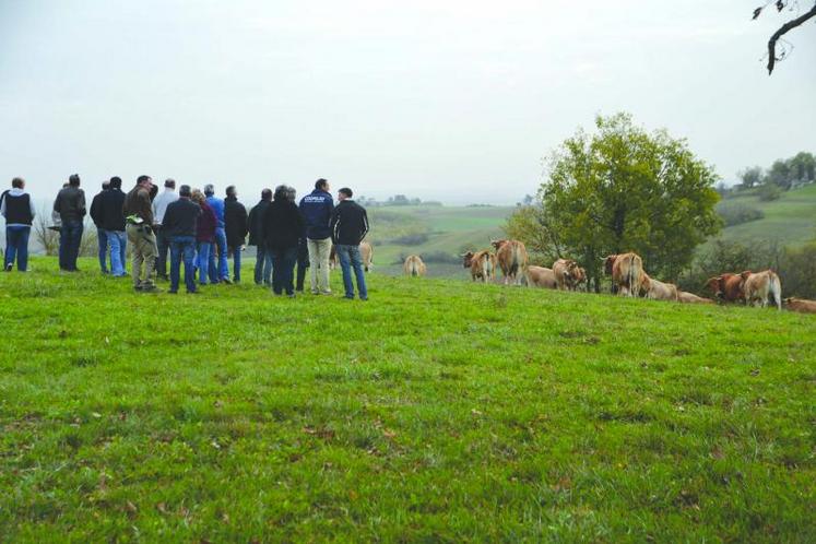 La visite de l'exploitation de Nicolas Boyer-Gibaud à Lisle-sur-Tarn.