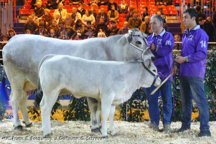 Vice Cream, de l'élevage d'Evelyne Esteveny, termine en tête de la section des vaches suitées