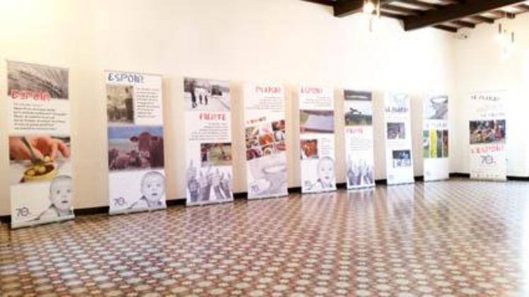 Expo-photos à Montredon-Labessonnié.