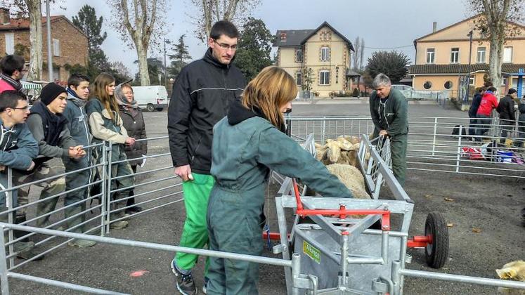 Jeudi 6 février, 38 candidats viendront représenter 8 établissements d’enseignement agricole de la région aux Ovinpiades à Fonlabour.