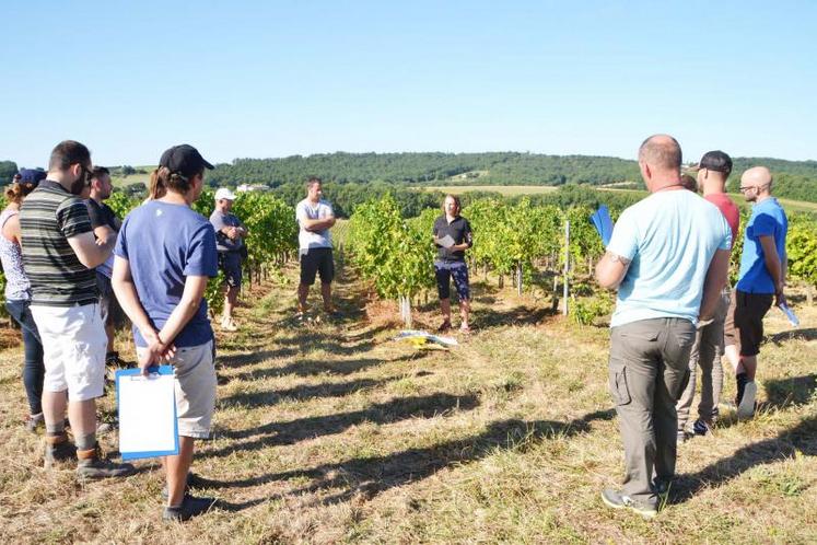 Virginie Viguès, conseillère viticulture de la Chambre d’agriculture du Tarn,  animé la formation sur une parcelle contaminée du vignoble gaillacois.