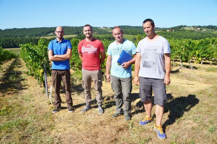 Julien, Nicolas, Théophile et Flavien vont sillonner 3 500 hectares à travers le vignoble, en quad ou à pied, à la recherche de pieds porteurs de la maladie, jusqu'à fin octobre.