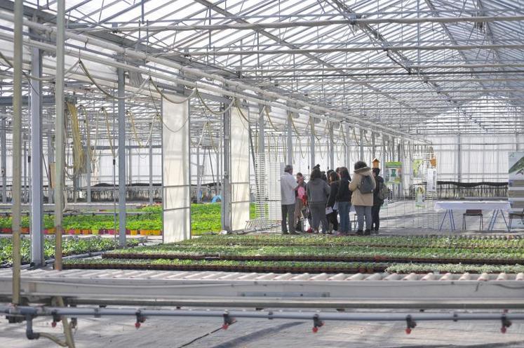 Plus de 150 personnes sont venues découvrir les métiers de l'horticulture, du maraichage et de l'arboriculture aux Serres de Ramon à Lescure.