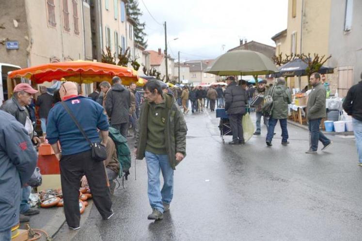 Cette année, la foire de Réalmont a été perturbée par une météo capricieuse. Mais le public s’est déplacé en nombre pour ce rendez-vous.