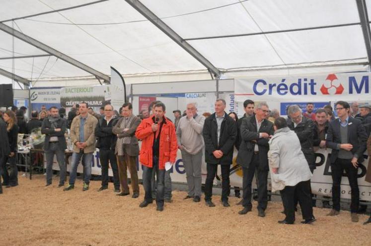 Concentration pendant le concours Limousin.