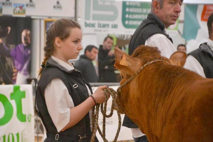 Les exposants de la foire investissent chaque année les rues et les places du village.