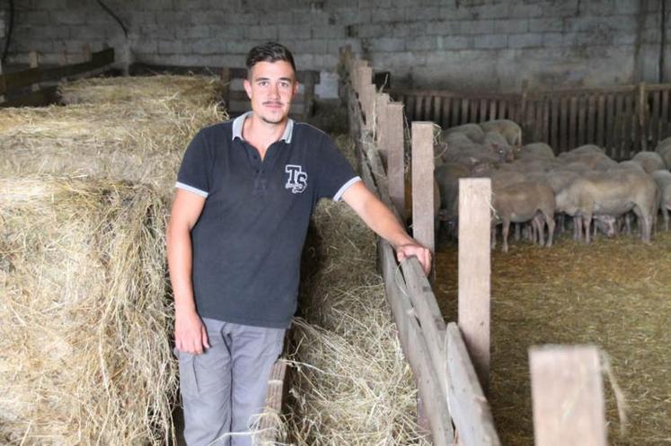 Pour Clément Fabre, "Depuis cet hiver, je suis passé à un aliment complet. Je suis vraiment satisfait du résultat. La croissance est meilleure et le taux d’agneaux labellisables aussi du coup !"