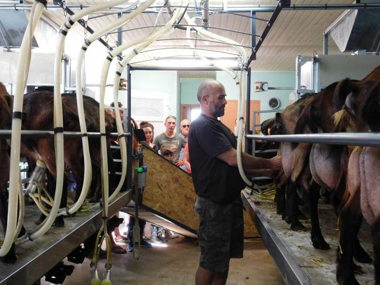 Moment très attendu dans la visite de l’exploitation, celui de la traite des chèvres, avec les explications aux adultes et aux enfants. Bravo au Gaec de l’Escalette et aux producteurs !