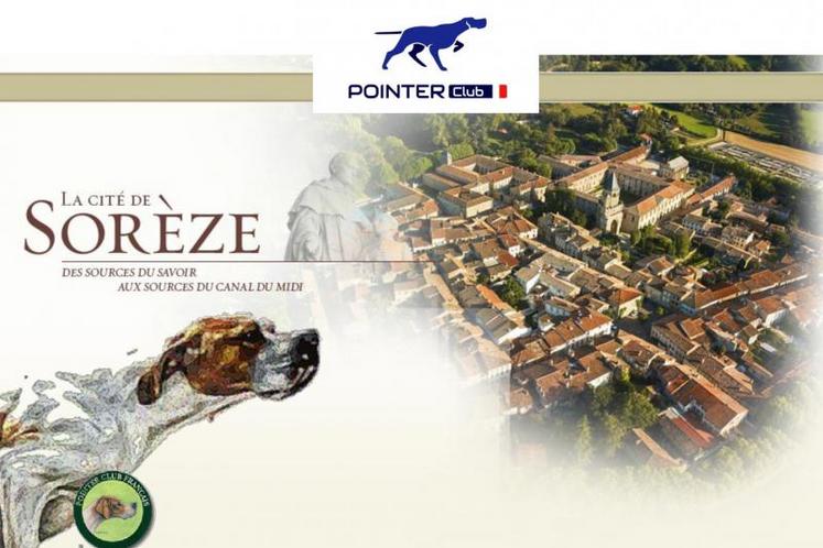 Samedi 13 juin, le Pointer club français organise son exposition nationale d'élevage à l'Abbaye-école de Sorèze