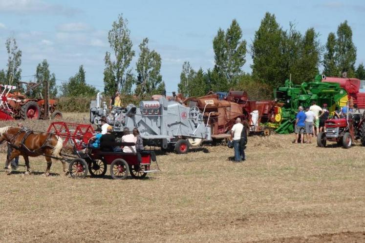 Pour les petits (et les grands), une mini-ferme...