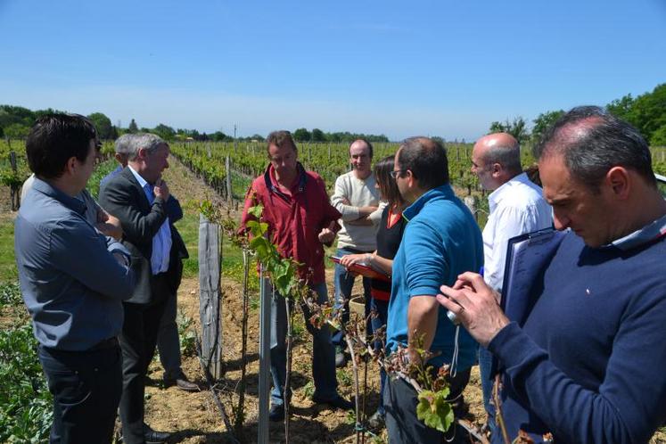 Plusieurs visites de terrain ont été organisées par la profession agricole en 2017.