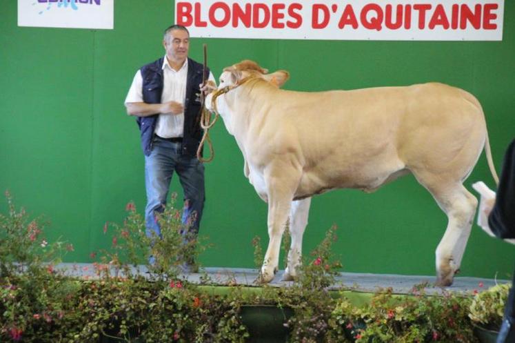 Jeunesse, du Gaec Puech, 2ème en section femelles de 1 à 2 ans