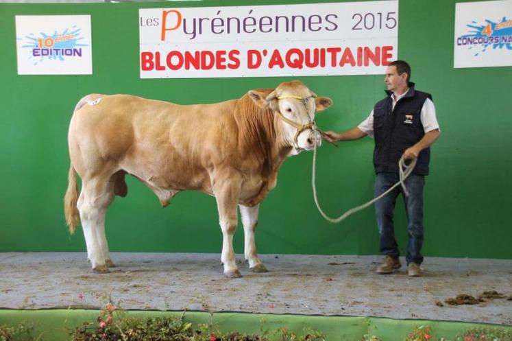 Jojoba de Damien Blanc, termine 1er de la section mâle de 1 à 2 ans