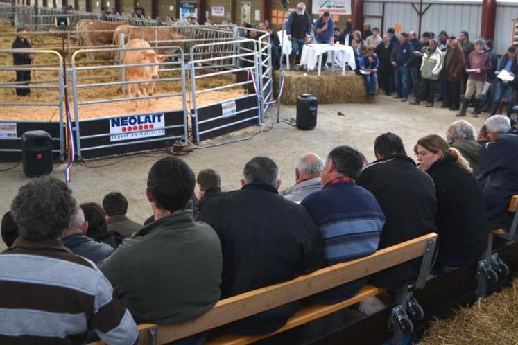 La vente aux enchères de génisses et de jeunes mâles aura lieu le 26 mars à partir de 10h30 au centre d’élevage d’Aussac.