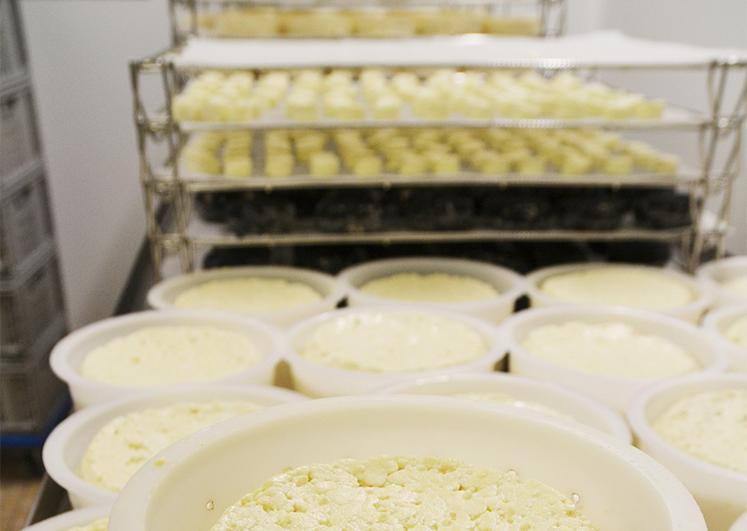 Agrandir l’atelier offre une meilleure organisation pour produire davantage de fromages et répondre à la demande.