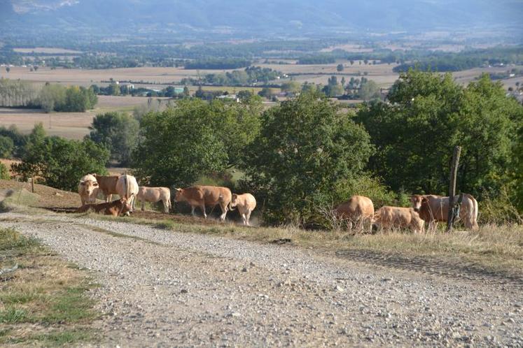 Septembre, la révision de la zone défavorisée annoncée par le ministère exclut 90 communes tarnaises