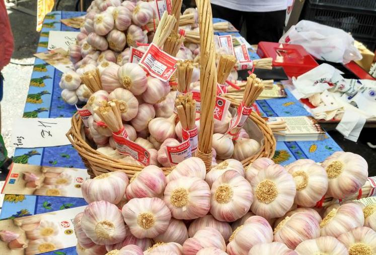 La belle couleur de l’ail rose de Lautrec est toujours brillamment mise en valeur avec les jolies manouilles bien tressées. Un travail d’orfèvre au service du goût. De quoi faire saliver les gourmands !