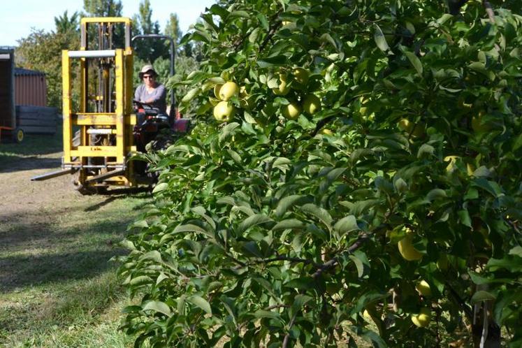 L'adéquation entre l'offre et la demande de main d’œuvre est un enjeu pour conserver une agriculture dynamique, la vitalité du tissu économique et social de notre territoire.