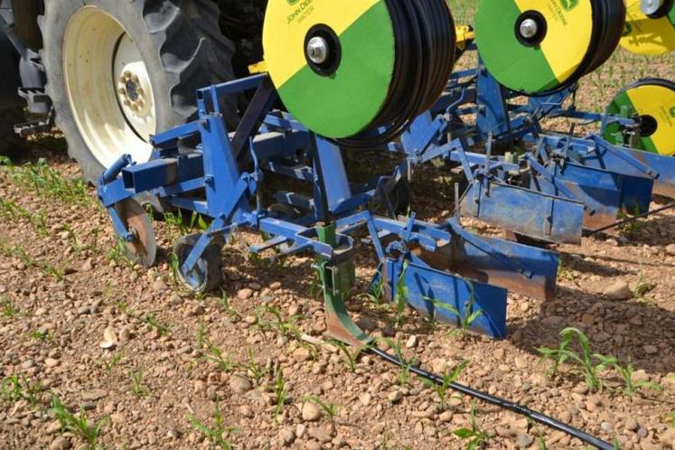 Une fois, le goutte-à-goutte fixé en bout de rang, l’avancement du tracteur permet de dérouler simplement les tuyaux dans une petite tranchée.