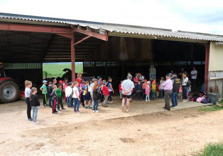 Au sein des divers ateliers, les enfants ont pu ainsi découvrir  l’exploitation de Didier Fonvieille avec la production de Veaux d’Aveyron et du Ségala.