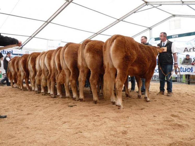 concours départemental limousin