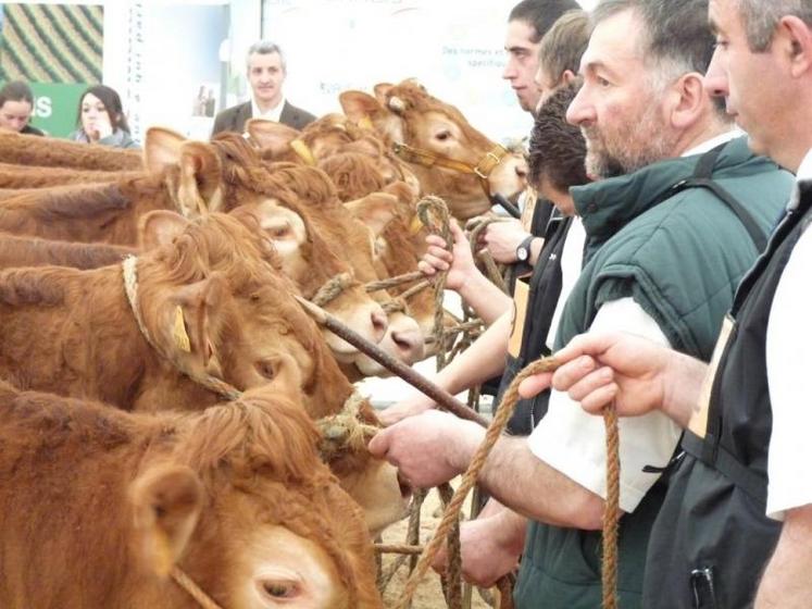 dégustation d'agneau label rouge - stand moutonniers