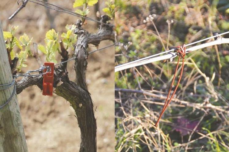 Deux types de diffuseurs sont disponibles sur le marché : Rak à droite, Isonet à gauche.