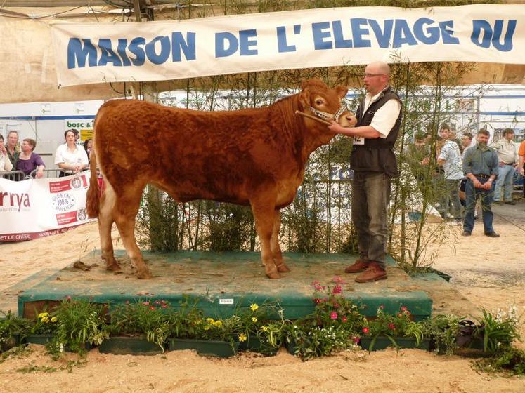 Le concours régional limousin a animé le samedi après-midi.