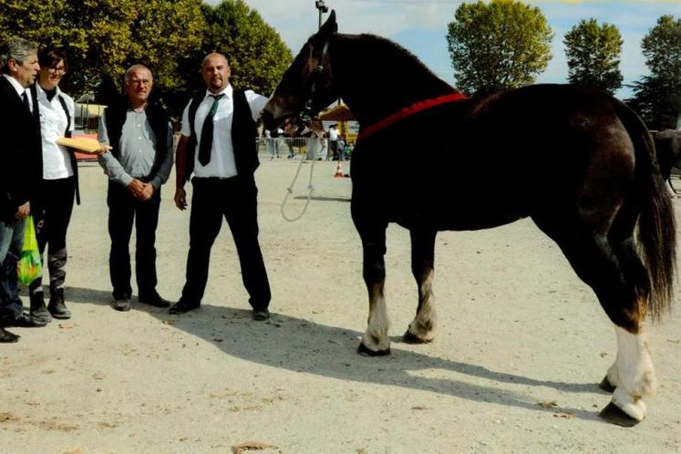 Guillaume Bouyssières de Técou avec Demoiselle du Jaudy (Bretons)