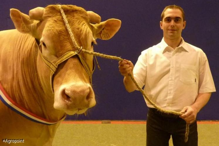 Vitamine, de l'élevage Daydé de Lautrec, vache la mieux vendue aux enchères 2012