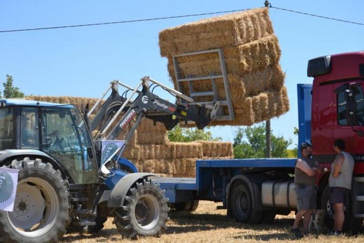 Juin : les OPA se mobilisent pour une opération de solidarité "paille"