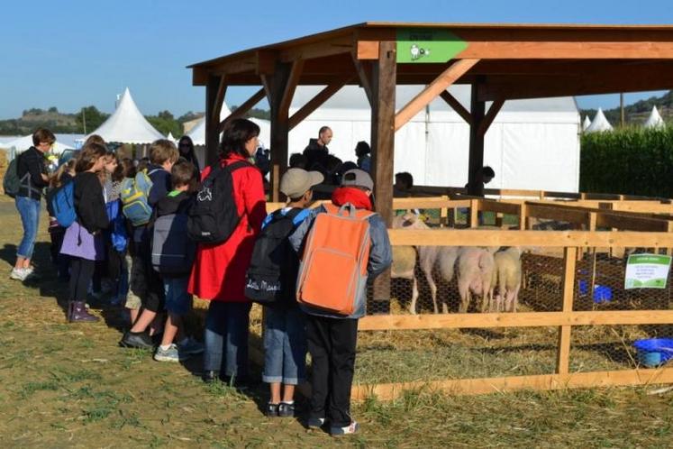 14/09 - destination terre gourmande - journée des écoles - stand ovins