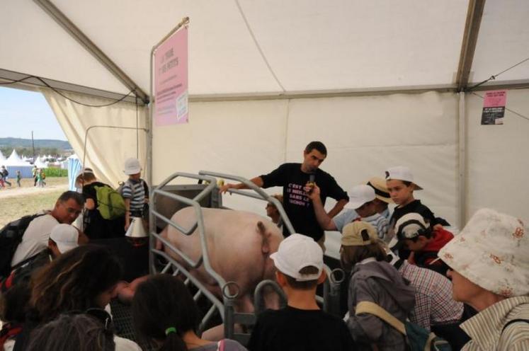 14/09 - destination terre gourmande - journée des écoles - stand porcs